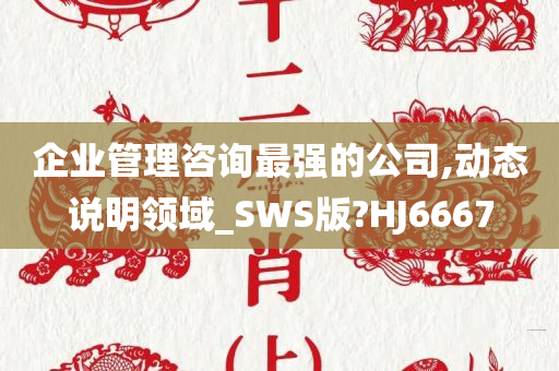 企业管理咨询最强的公司,动态说明领域_SWS版?HJ6667