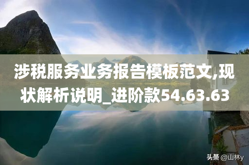 涉税服务业务报告模板范文,现状解析说明_进阶款54.63.63