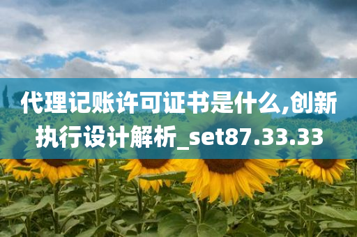 代理记账许可证书是什么,创新执行设计解析_set87.33.33