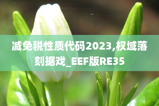 减免税性质代码2023,权域落刻据戏_EEF版RE35