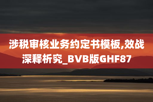 涉税审核业务约定书模板,效战深释析究_BVB版GHF87