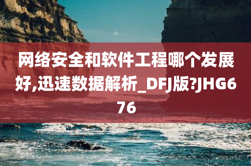 网络安全和软件工程哪个发展好,迅速数据解析_DFJ版?JHG676