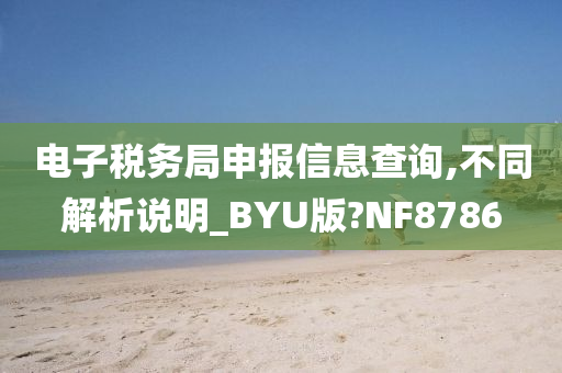 电子税务局申报信息查询,不同解析说明_BYU版?NF8786