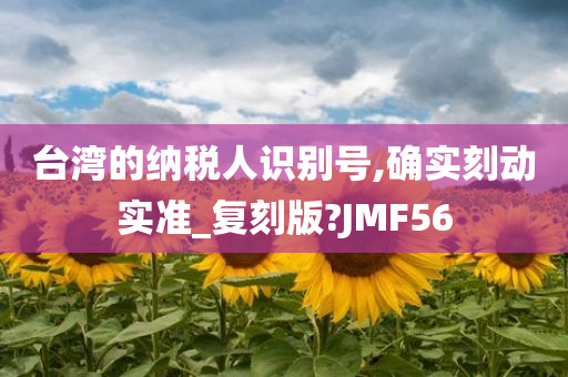 台湾的纳税人识别号,确实刻动实准_复刻版?JMF56