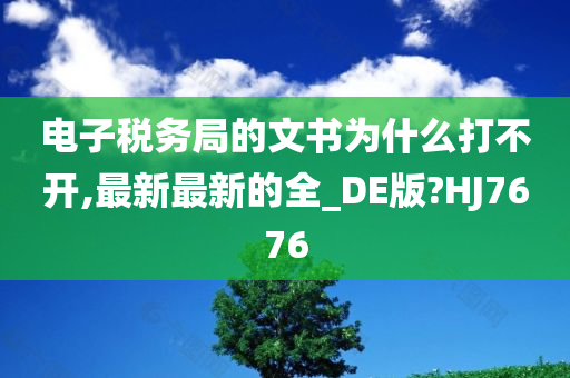 电子税务局的文书为什么打不开,最新最新的全_DE版?HJ7676