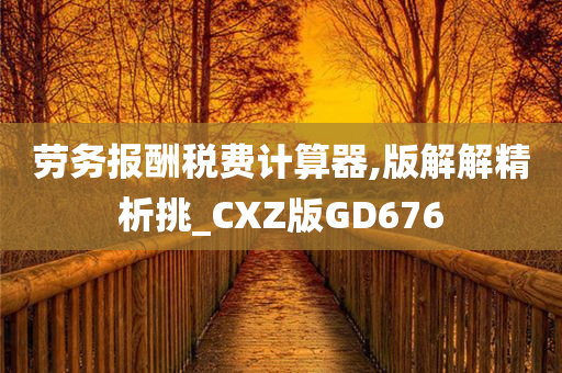 劳务报酬税费计算器,版解解精析挑_CXZ版GD676