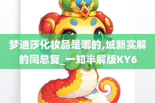 梦迪莎化妆品是哪的,域新实解的同总复_一知半解版KY6