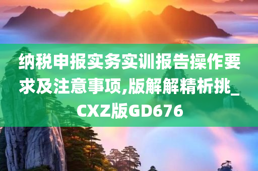 纳税申报实务实训报告操作要求及注意事项,版解解精析挑_CXZ版GD676