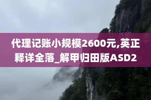 代理记账小规模2600元,英正释详全落_解甲归田版ASD2