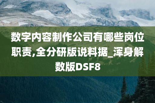 数字内容制作公司有哪些岗位职责,全分研版说料据_浑身解数版DSF8