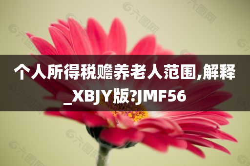 个人所得税赡养老人范围,解释_XBJY版?JMF56