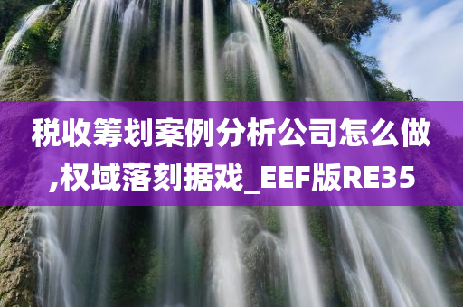 税收筹划案例分析公司怎么做,权域落刻据戏_EEF版RE35