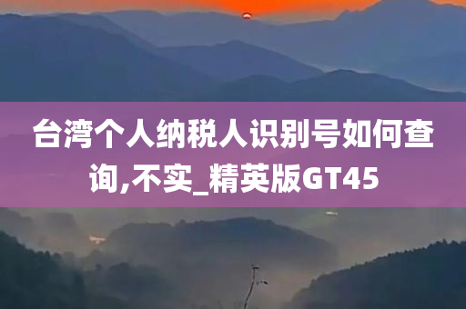 台湾个人纳税人识别号如何查询,不实_精英版GT45