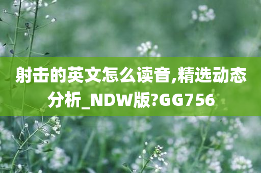 射击的英文怎么读音,精选动态分析_NDW版?GG756