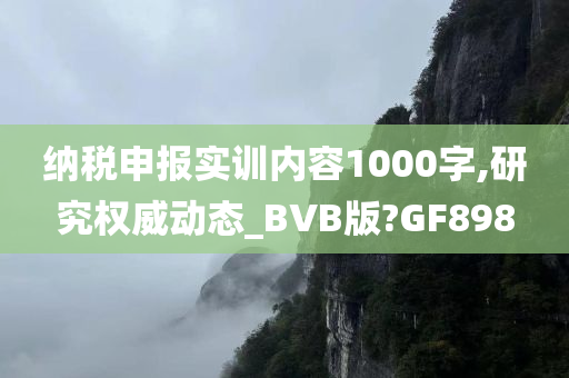 纳税申报实训内容1000字,研究权威动态_BVB版?GF898