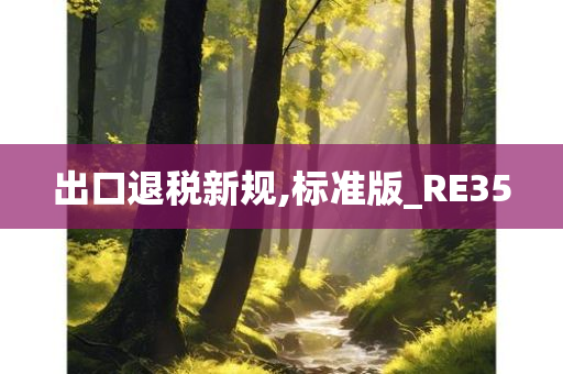 出口退税新规,标准版_RE35