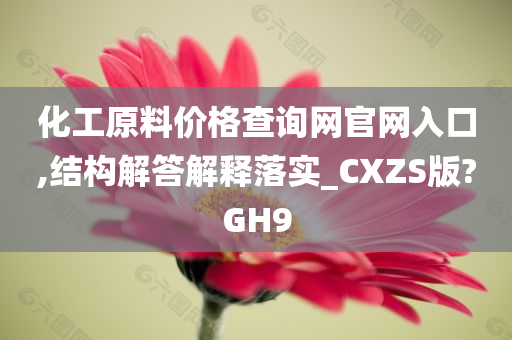 化工原料价格查询网官网入口,结构解答解释落实_CXZS版?GH9