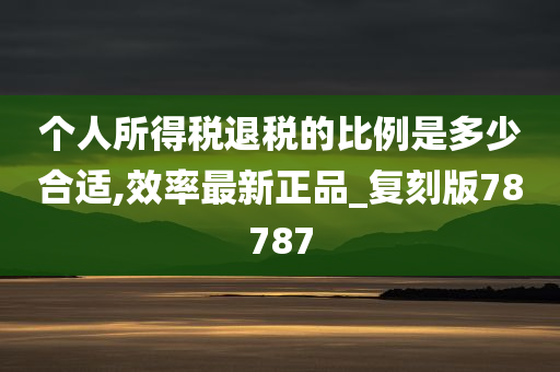 个人所得税退税的比例是多少合适,效率最新正品_复刻版78787