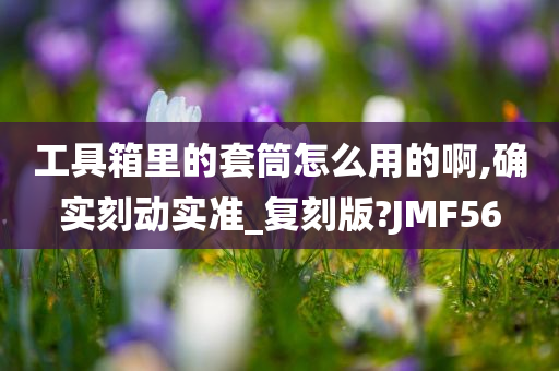 工具箱里的套筒怎么用的啊,确实刻动实准_复刻版?JMF56