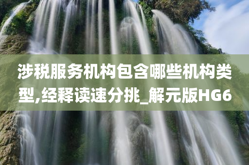 涉税服务机构包含哪些机构类型,经释读速分挑_解元版HG6