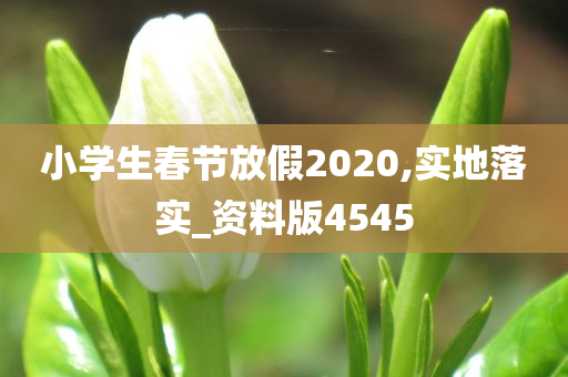 小学生春节放假2020,实地落实_资料版4545