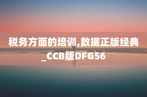 税务方面的培训,数据正版经典_CCB版DFG56