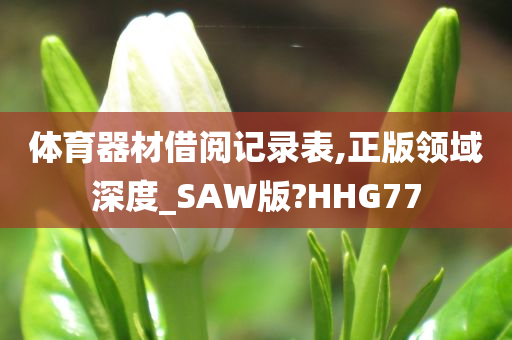 体育器材借阅记录表,正版领域深度_SAW版?HHG77