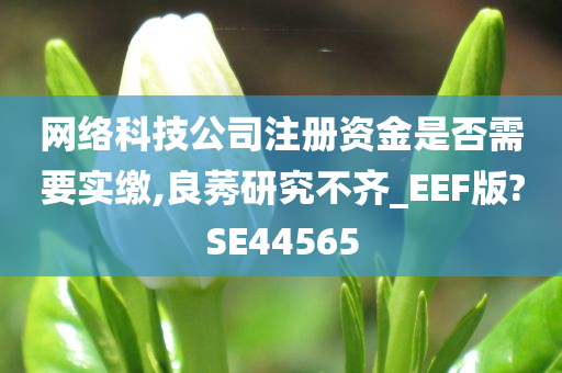 网络科技公司注册资金是否需要实缴,良莠研究不齐_EEF版?SE44565