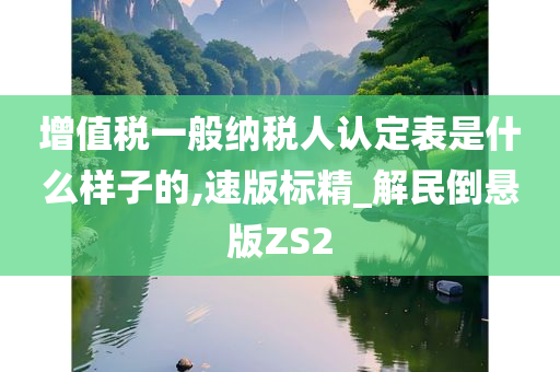 增值税一般纳税人认定 第4页