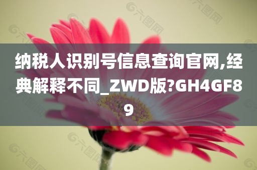 纳税人识别号信息查询官网,经典解释不同_ZWD版?GH4GF89