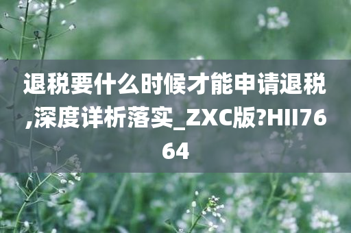 退税要什么时候才能申请退税,深度详析落实_ZXC版?HII7664