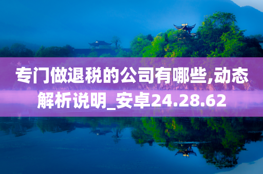 专门做退税的公司有哪些,动态解析说明_安卓24.28.62