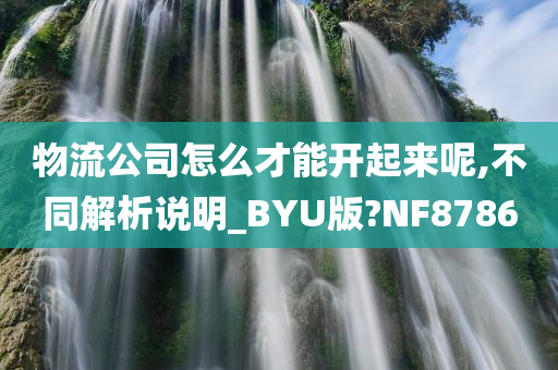 物流公司怎么才能开起来呢,不同解析说明_BYU版?NF8786