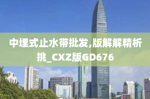 中埋式止水带批发,版解解精析挑_CXZ版GD676