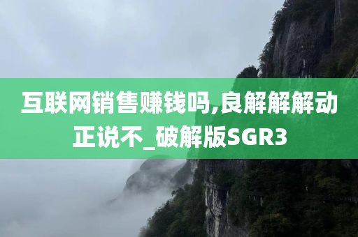 互联网销售赚钱吗,良解解解动正说不_破解版SGR3