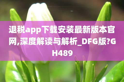 退税app下载安装最新版本官网,深度解读与解析_DFG版?GH489