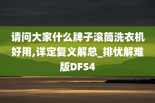 请问大家什么牌子滚筒洗衣机好用,详定复义解总_排忧解难版DFS4