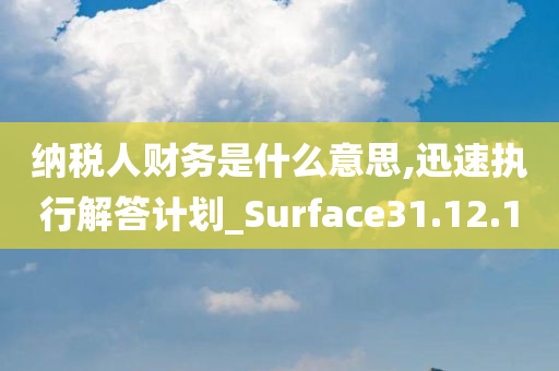 纳税人财务是什么意思,迅速执行解答计划_Surface31.12.10