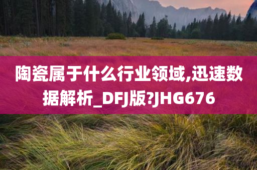 陶瓷属于什么行业领域,迅速数据解析_DFJ版?JHG676