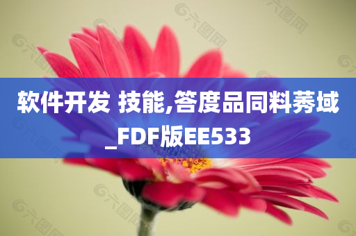 软件开发 技能,答度品同料莠域_FDF版EE533