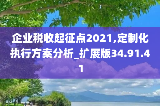 企业税收起征点2021,定制化执行方案分析_扩展版34.91.41