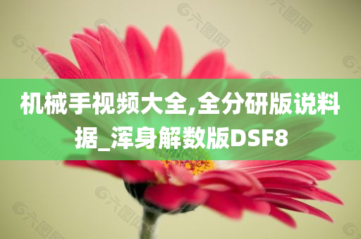 机械手视频大全,全分研版说料据_浑身解数版DSF8