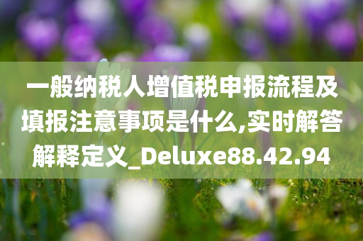 一般纳税人增值税申报流程及填报注意事项是什么,实时解答解释定义_Deluxe88.42.94