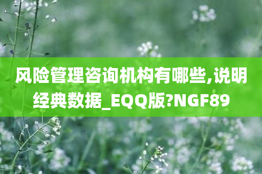 风险管理咨询机构有哪些,说明经典数据_EQQ版?NGF89