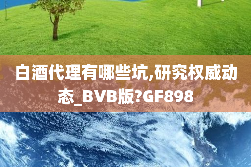 白酒代理有哪些坑,研究权威动态_BVB版?GF898