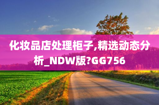 化妆品店处理柜子,精选动态分析_NDW版?GG756