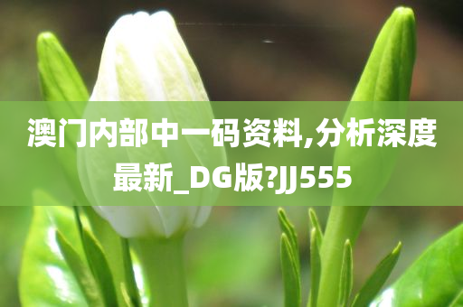 澳门内部中一码资料,分析深度最新_DG版?JJ555