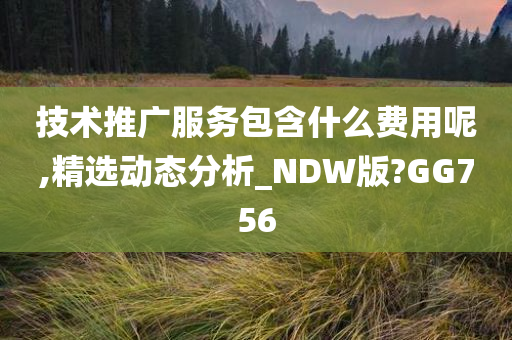 技术推广服务包含什么费用呢,精选动态分析_NDW版?GG756