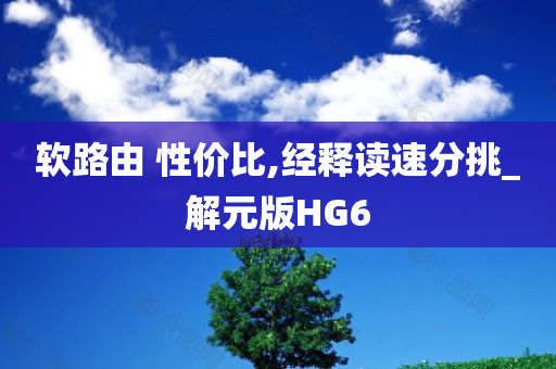 软路由 性价比,经释读速分挑_解元版HG6