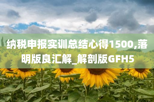 纳税申报实训总结心得1500,落明版良汇解_解剖版GFH5